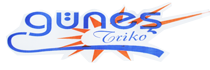 Güneş Triko